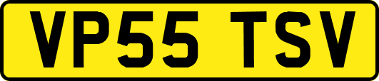 VP55TSV