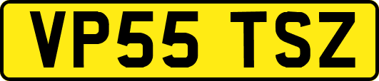 VP55TSZ
