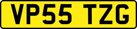 VP55TZG