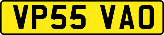 VP55VAO