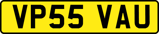 VP55VAU
