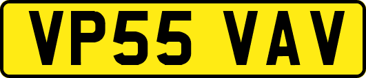 VP55VAV