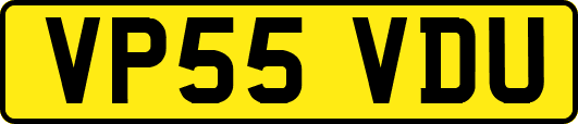 VP55VDU