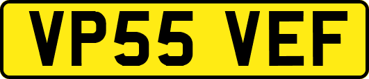 VP55VEF