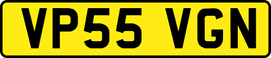 VP55VGN