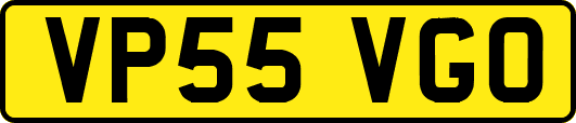 VP55VGO