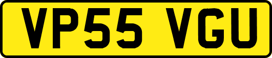 VP55VGU