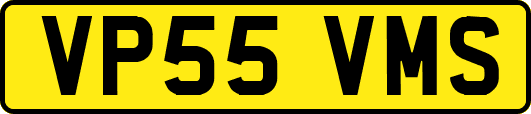 VP55VMS