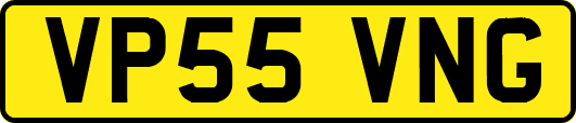 VP55VNG