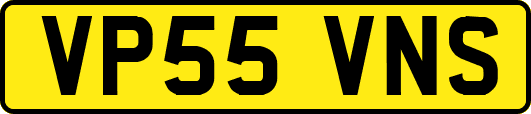 VP55VNS