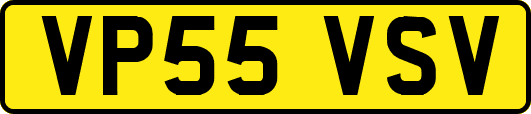 VP55VSV