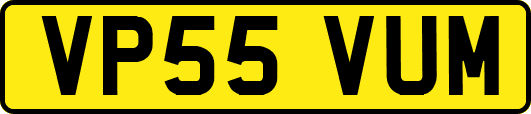 VP55VUM