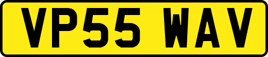 VP55WAV