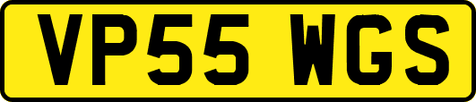 VP55WGS