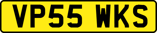 VP55WKS