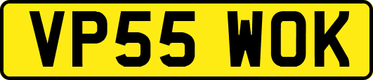 VP55WOK