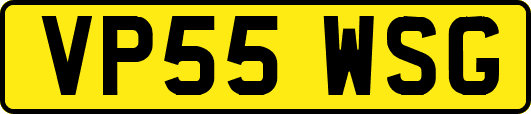 VP55WSG