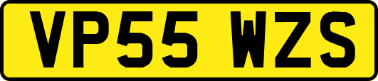 VP55WZS