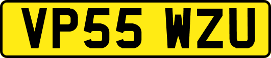 VP55WZU
