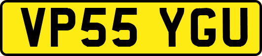 VP55YGU