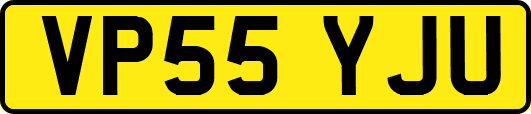 VP55YJU