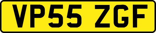 VP55ZGF
