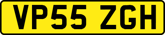 VP55ZGH