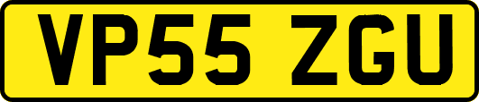 VP55ZGU