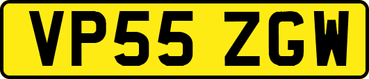 VP55ZGW