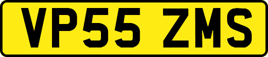 VP55ZMS
