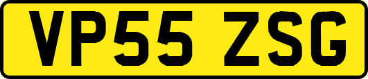 VP55ZSG