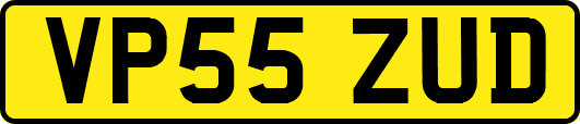 VP55ZUD