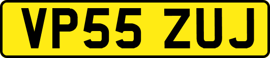 VP55ZUJ