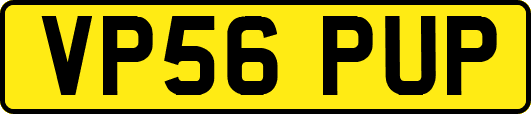 VP56PUP