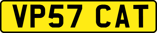 VP57CAT