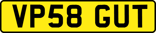 VP58GUT