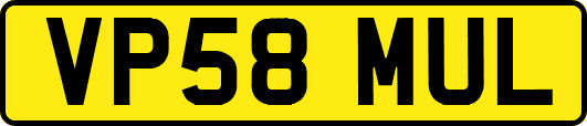 VP58MUL