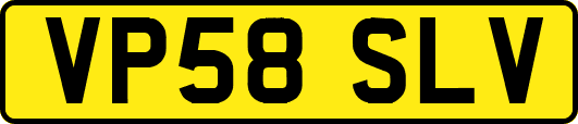 VP58SLV