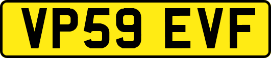 VP59EVF