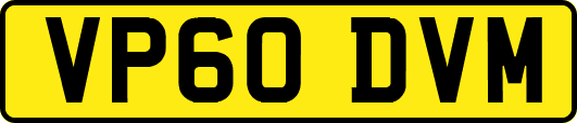 VP60DVM
