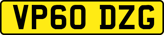 VP60DZG