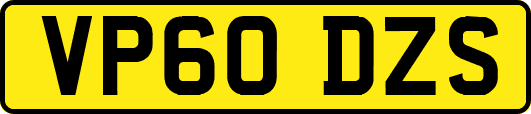 VP60DZS