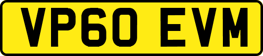 VP60EVM