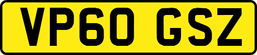 VP60GSZ