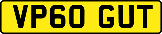 VP60GUT