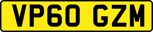 VP60GZM