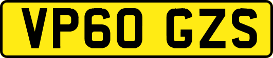 VP60GZS
