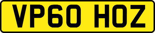 VP60HOZ