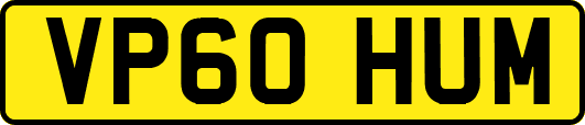 VP60HUM
