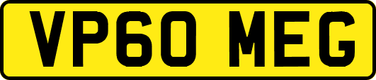 VP60MEG